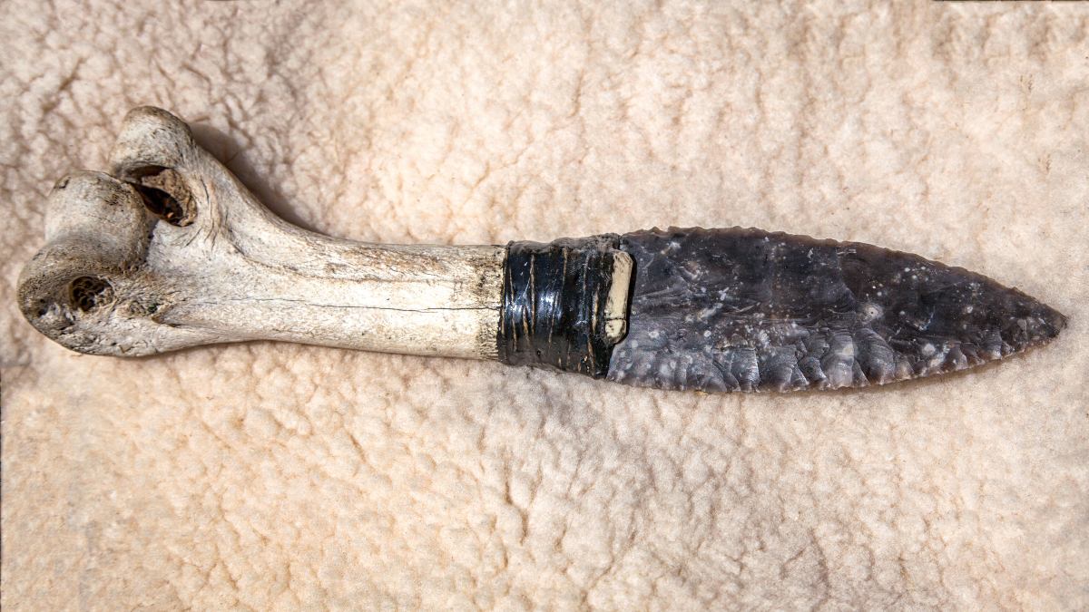 Mankind's first knives were not made of stone