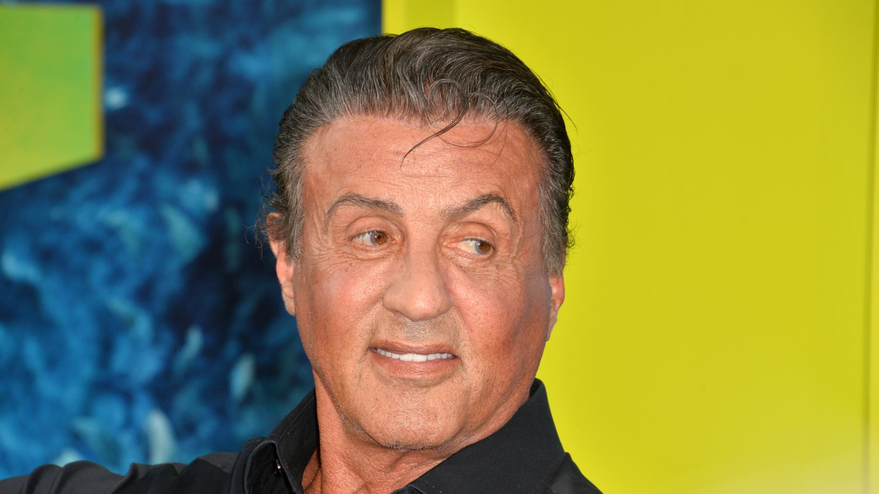 Sylvester Stallone
