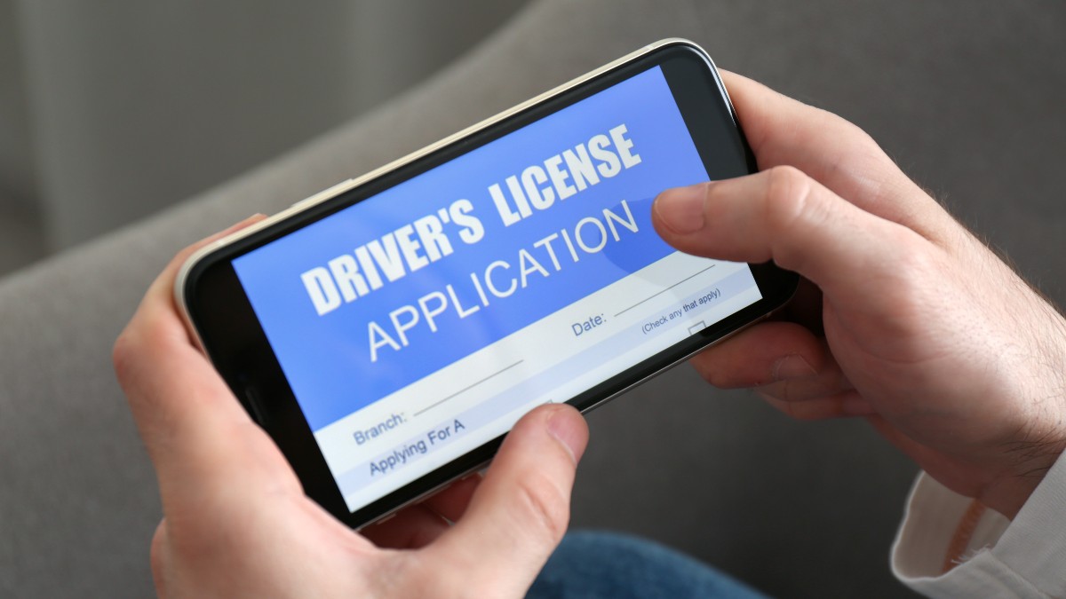 driver&#039;s licenses