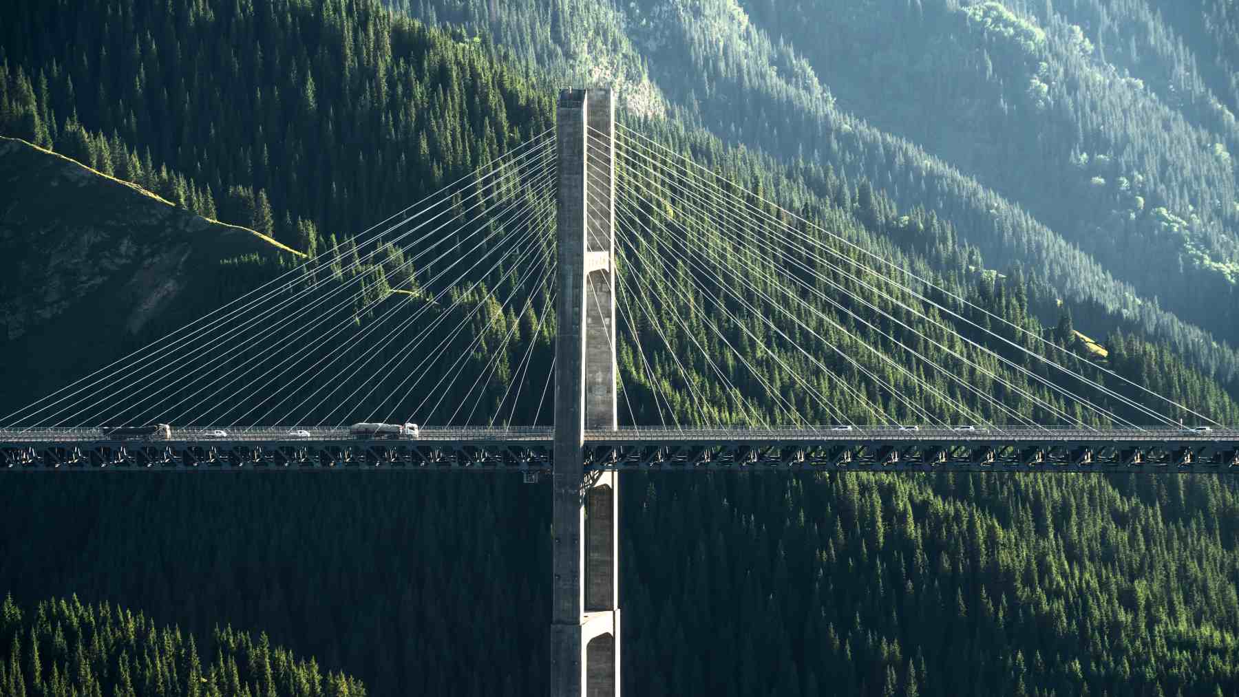 Mountain bridge