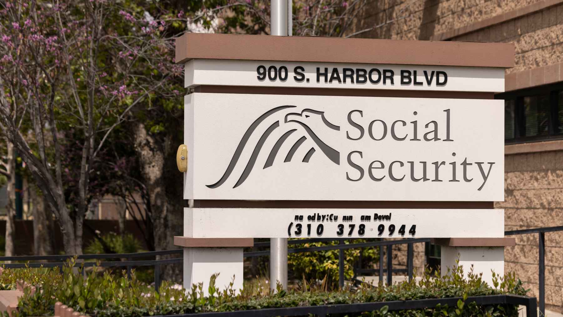 Social Security Administration