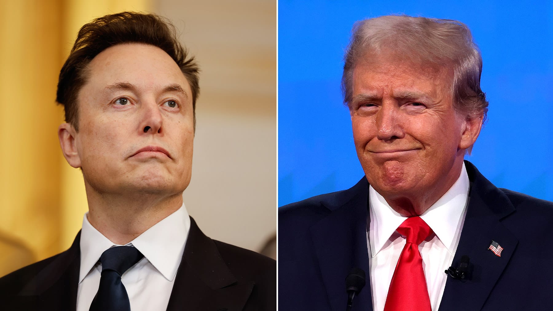 It&#039;s official - Donald Trump and Elon Musk propose $5,000 DOGE stimulus checks for federal taxpayers