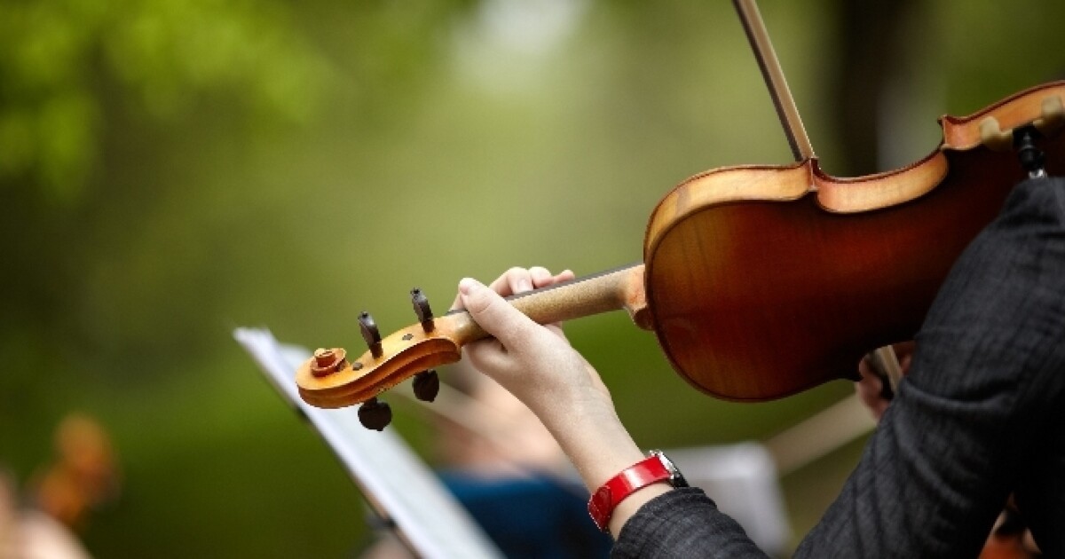 Neither intelligence nor talent - here&#039;s what really determines whether a child will succeed according to psychology