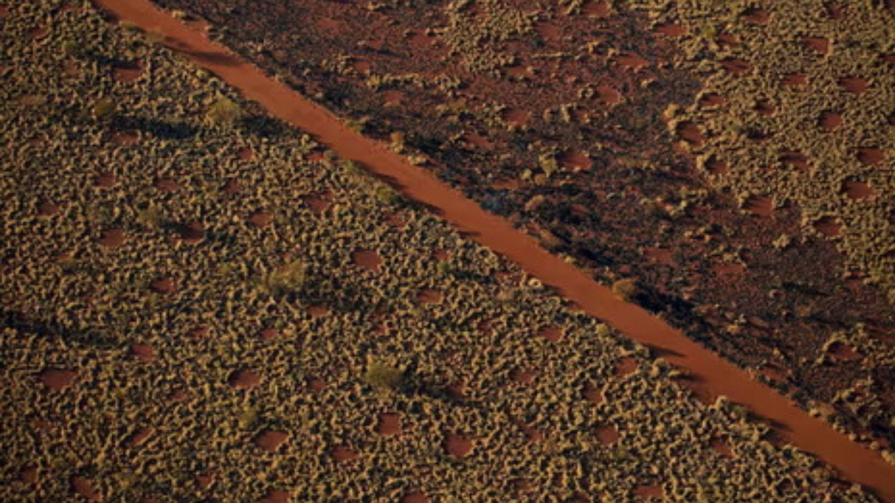 New “fairy circles” discovered in unexpected places and scientists are still at a loss to explain them