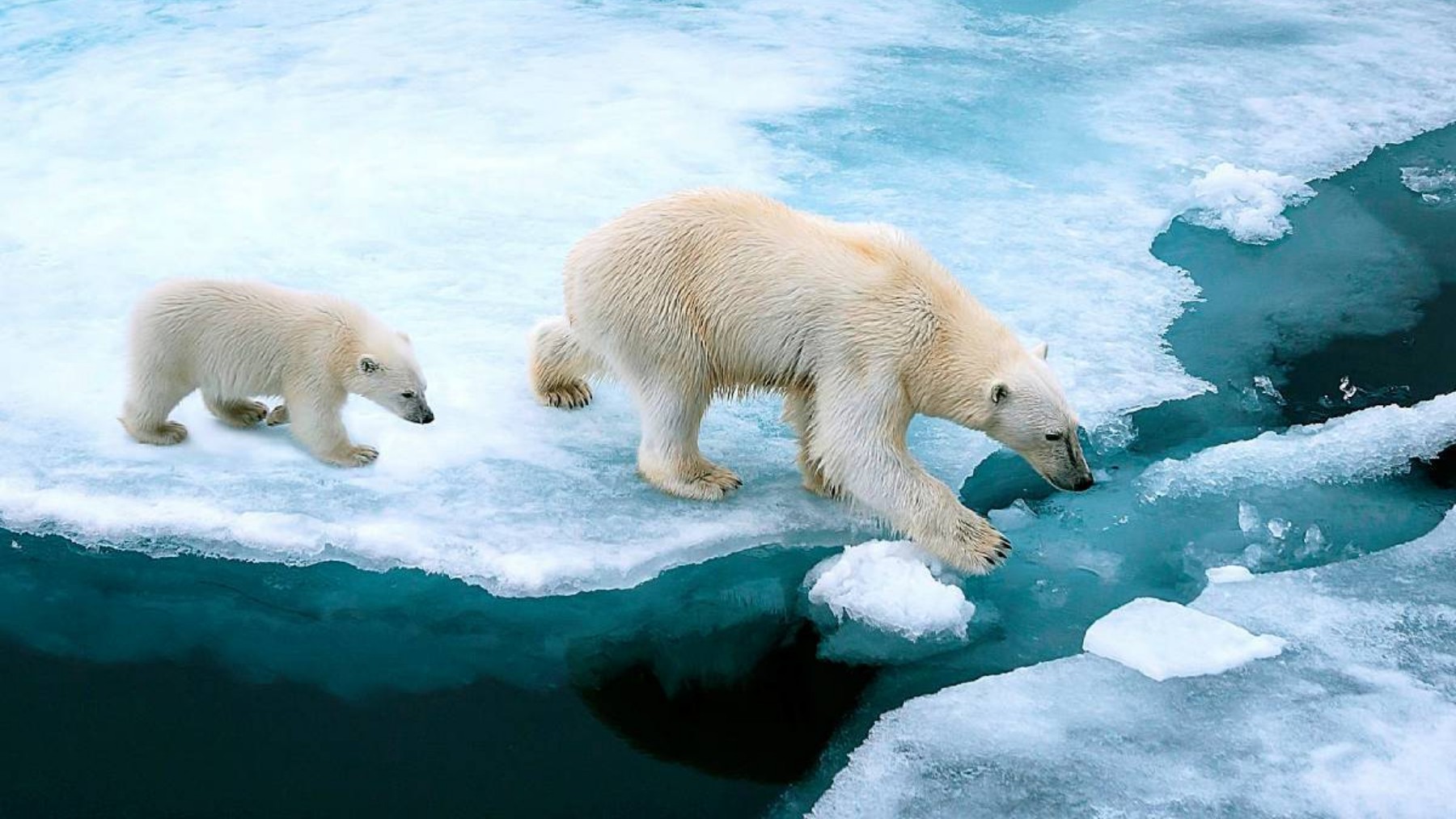 It&#039;s official - Earth&#039;s atmosphere contains more CO₂ than in the last 14 million years, driving extreme temperatures and severe weather events