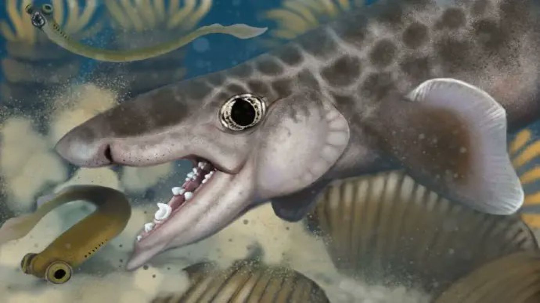 It&#039;s official—Paleontologists discover a new species of prehistoric shark with never-before-seen features