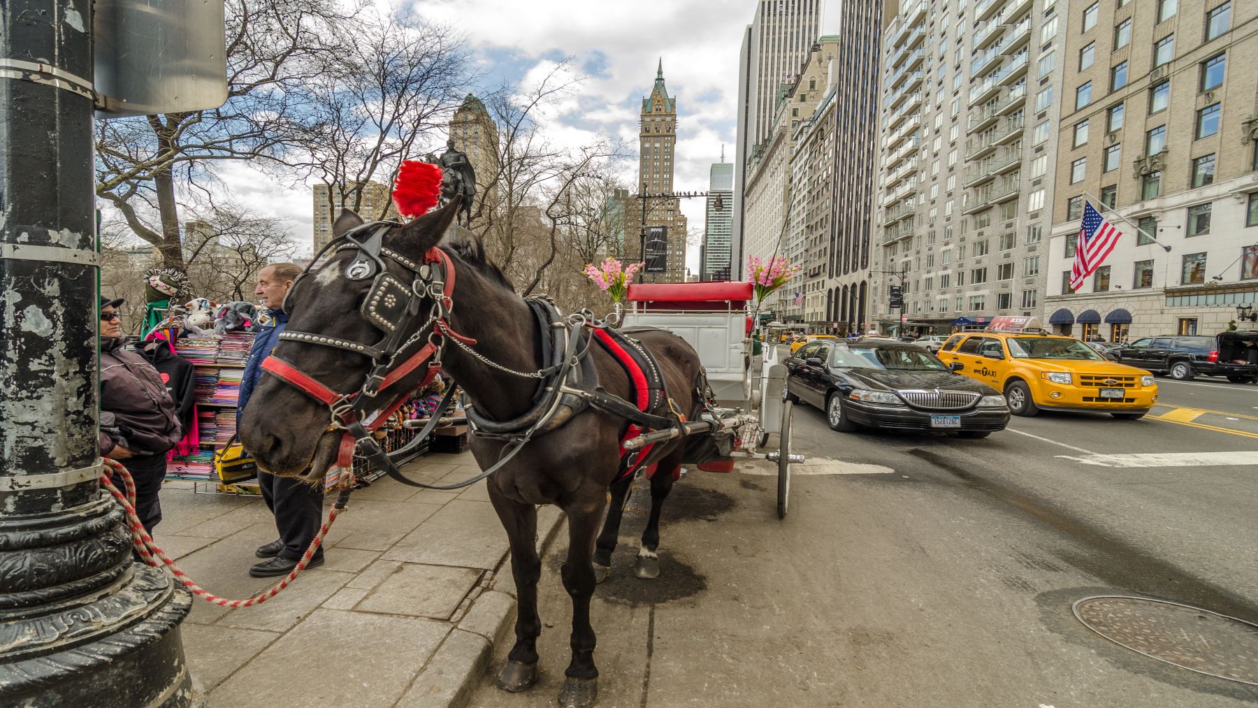 Farewell to an iconic Manhattan sight—the city prepares to ban new licenses for horse-drawn carriages in Central Park