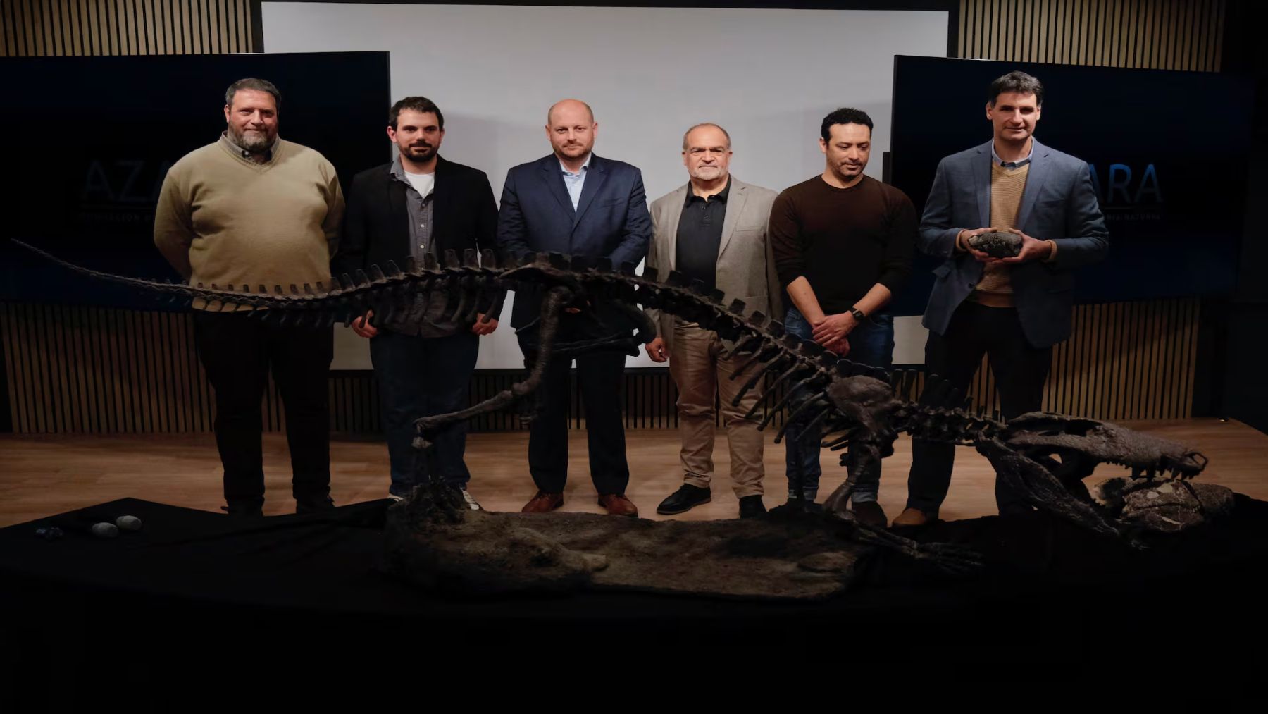 Discovery in Patagonia—a ferocious ancestor of the crocodile, measuring 3.5 meters and weighing 250 kilograms, is discovered, which preyed on dinosaurs in the final days of the Cretaceous period