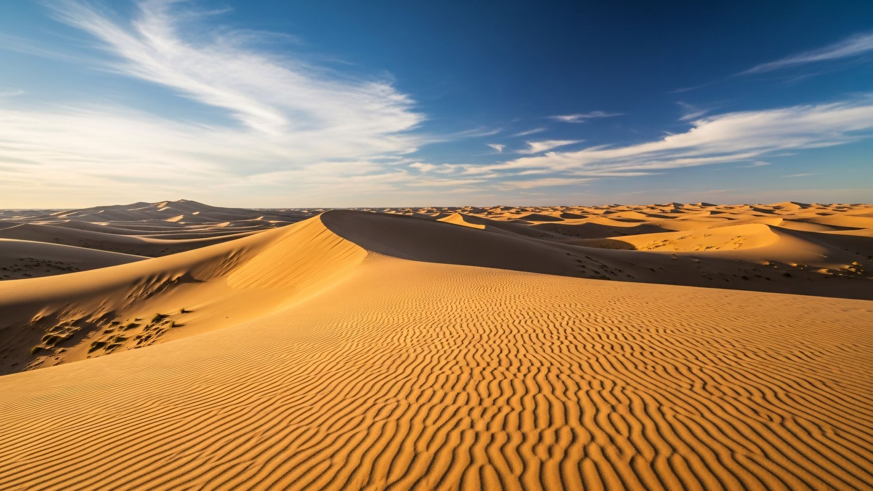 The plan dividing California—turning the Mojave Desert into a green hydrogen giant with groundwater and thousands of solar panels
