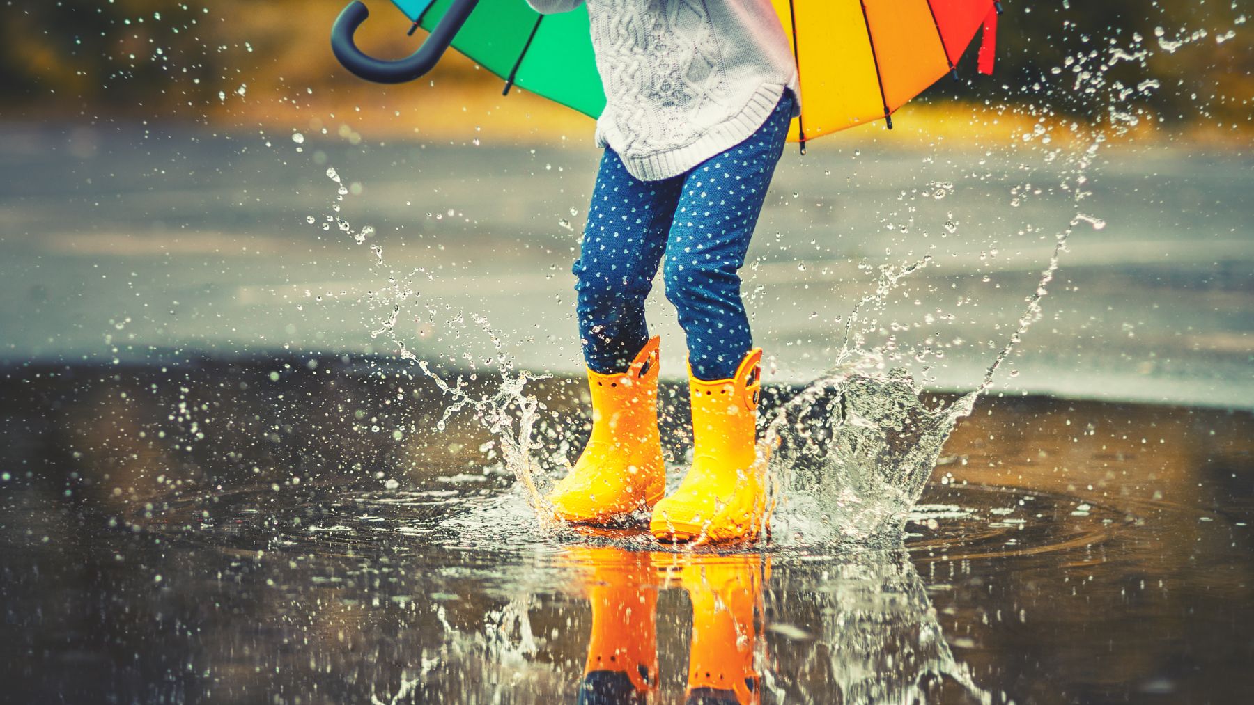 Confirmed—this is how the rainfall percentage in your weather app really works, and why almost all of us misinterpret it