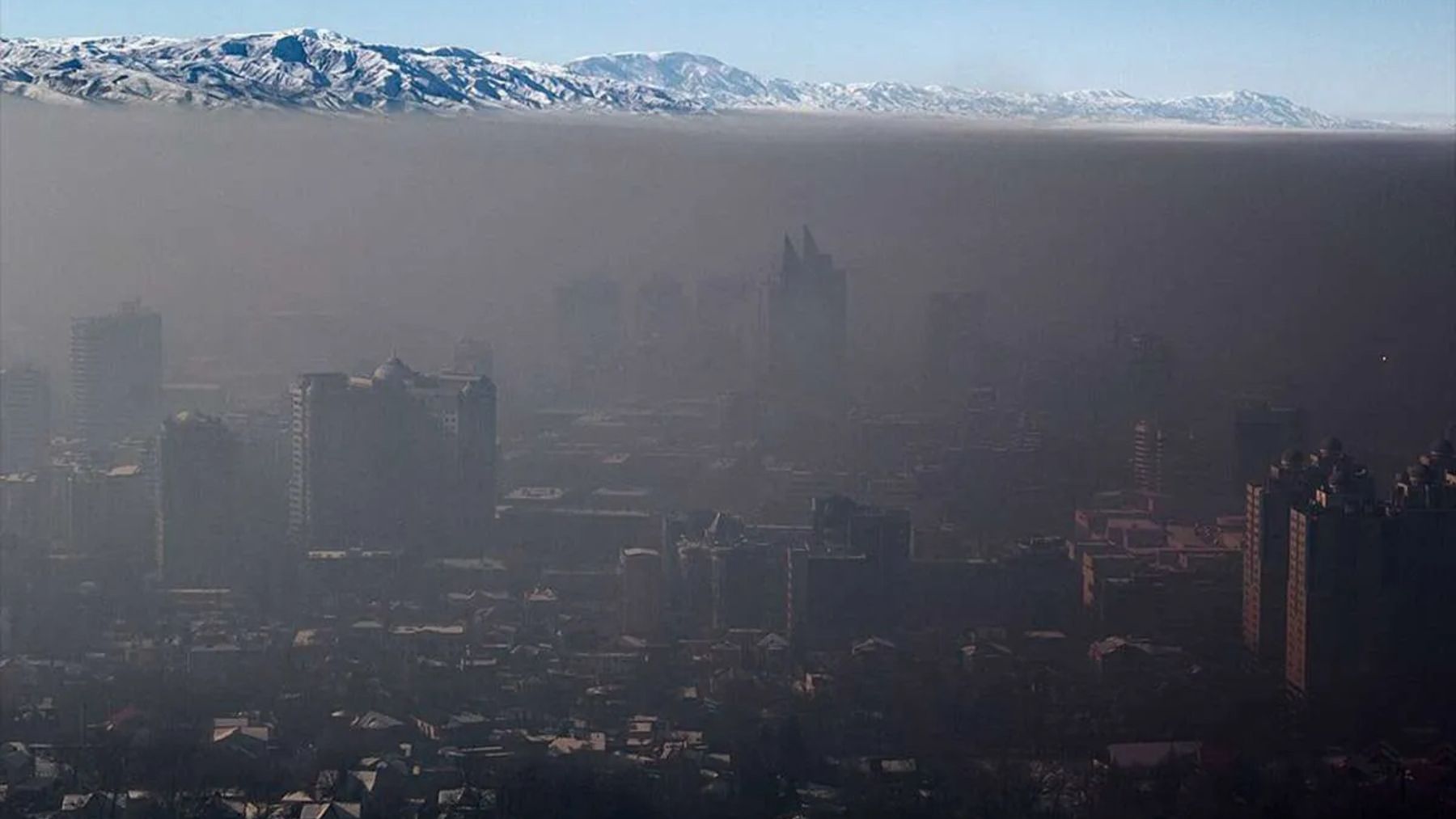 Goodbye to smog—living far from pollution improves sleep, slows aging, and strengthens the immune system