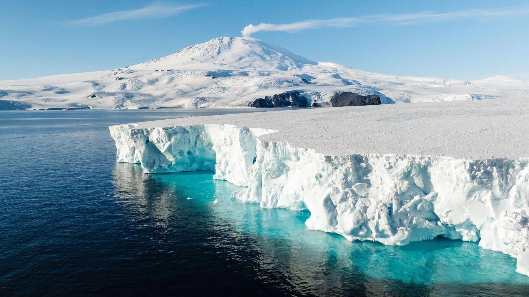 It&#039;s official—Antarctica, covered in temperate forests and ferns, was home to dinosaurs that could survive for months without sunlight