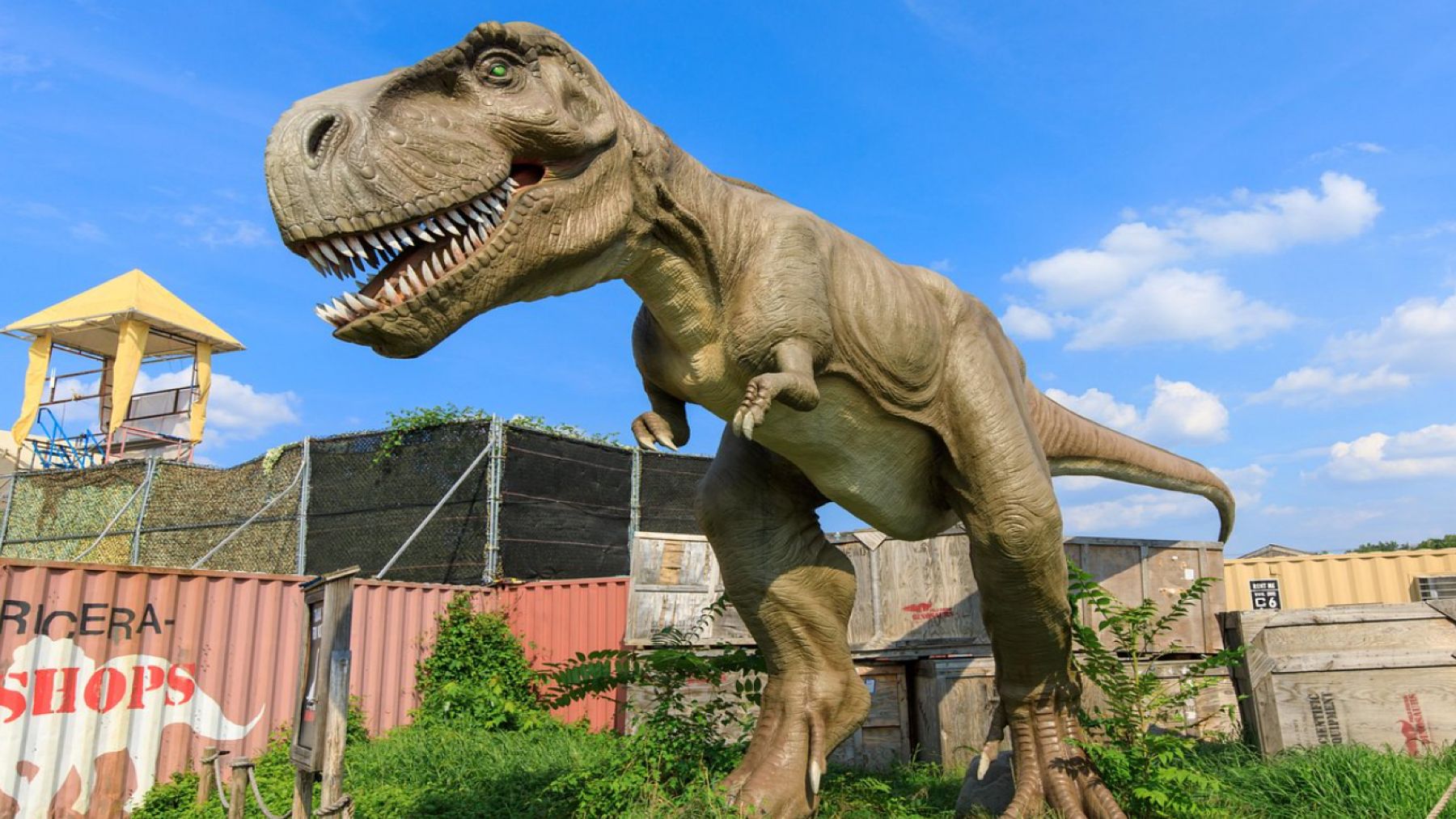 Goodbye to Field Station Park—the closure that went viral when it put its animatronic dinosaurs up for sale online for less than $3,500