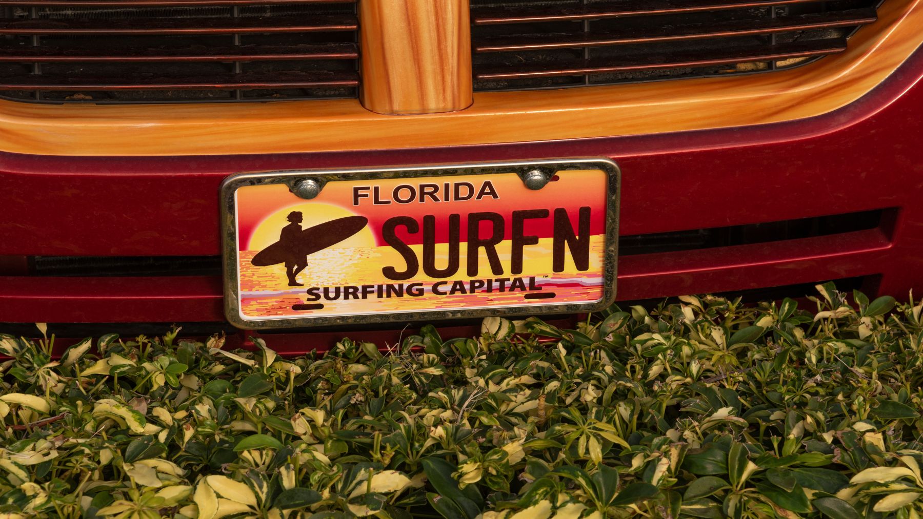 New law in Florida—doing this to your vehicle's license plate could now land you in prison
