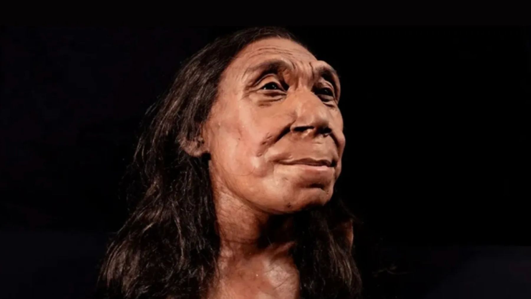 This is Shanidar Z, the 75,000-year-old Neanderthal woman whose face reveals a shocking truth—they were not primitive beasts, but compassionate humans capable of caring for and remembering their own