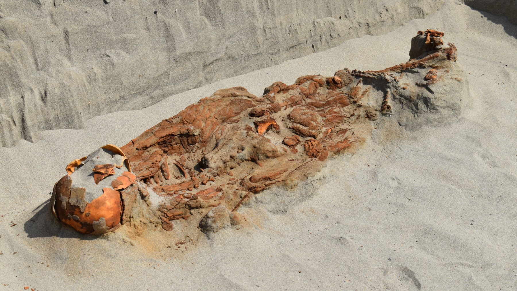 Historic discovery—archaeologists find an intact megalithic tomb containing ivory, amber, and seashells that rewrites the history of southern Spain