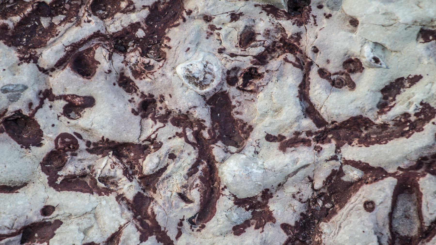 Confirmed—the Lovozero deposit holds more than 12,500 tons of loparite, a mineral treasure formed 400 million years ago