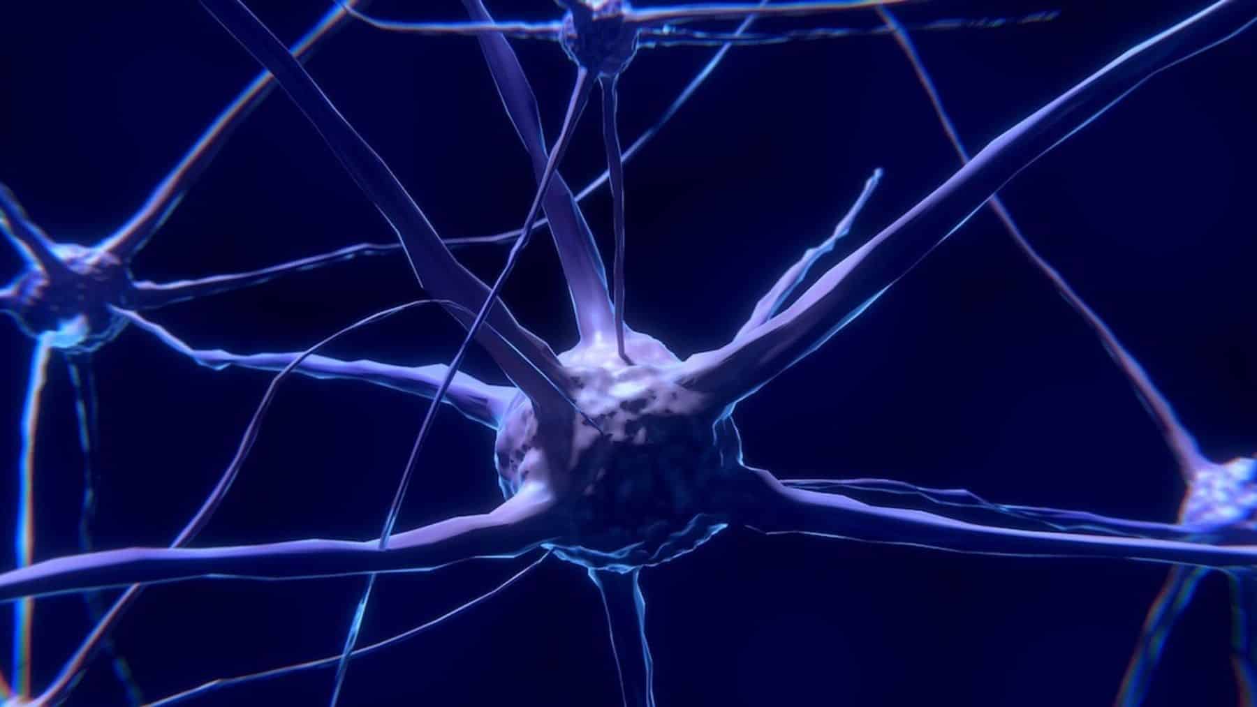 Confirmed—USC develops technique that allows real-time visualization of microvessels in the brain