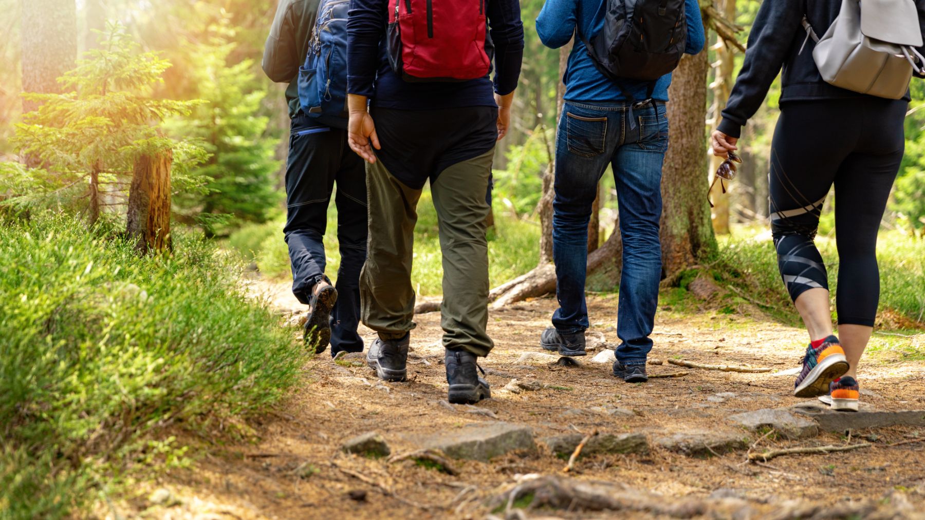 No more excuses—this study reveals that walking several times a week can reduce the risk of death by up to 52% in people over 65, radically changing your future