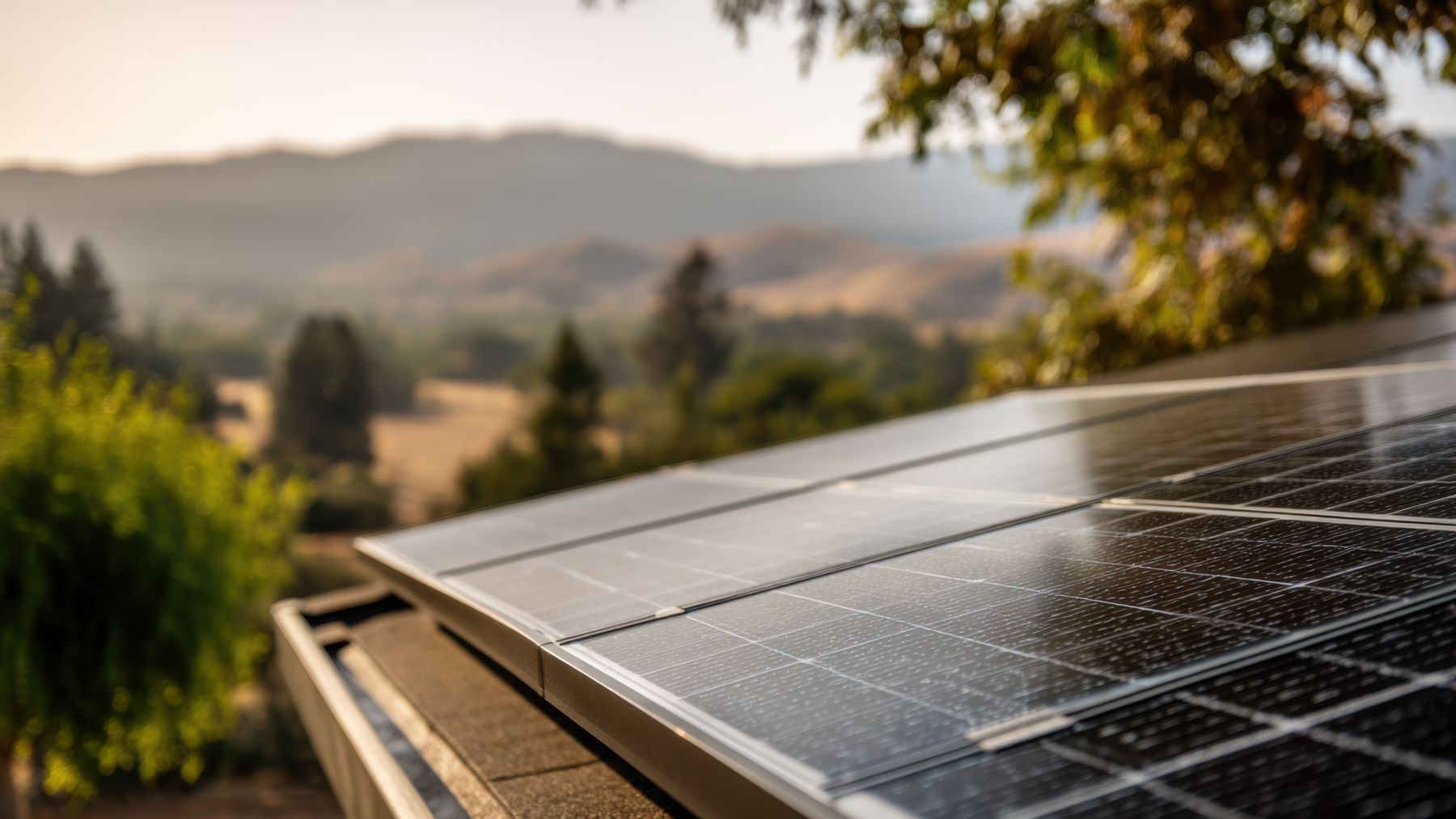 It&#039;s official—India is promoting “solar trees” that generate 53.6 kW and absorb 12 tons of CO₂ per year—an unprecedented green revolution