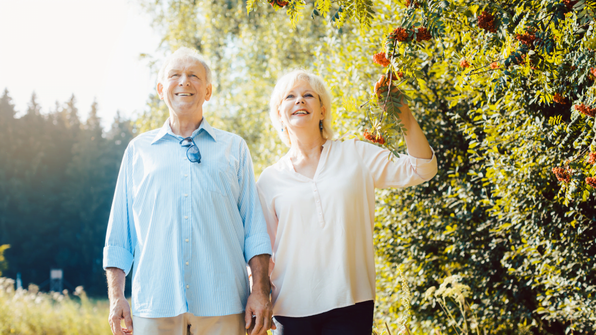 Pensiones Contributivas Y No Contributivas ¿qué Diferencias Hay 8138