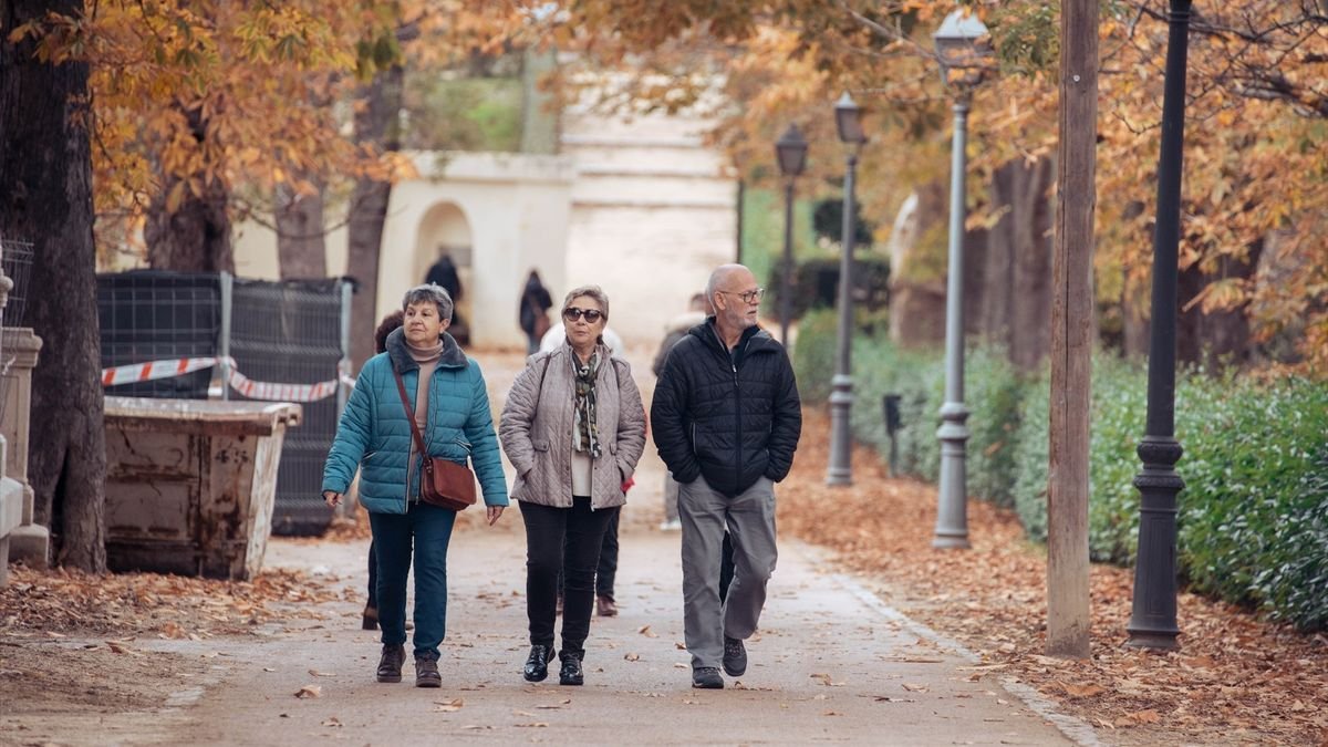 Este es el importe de las pensiones de la Seguridad Social para 2024