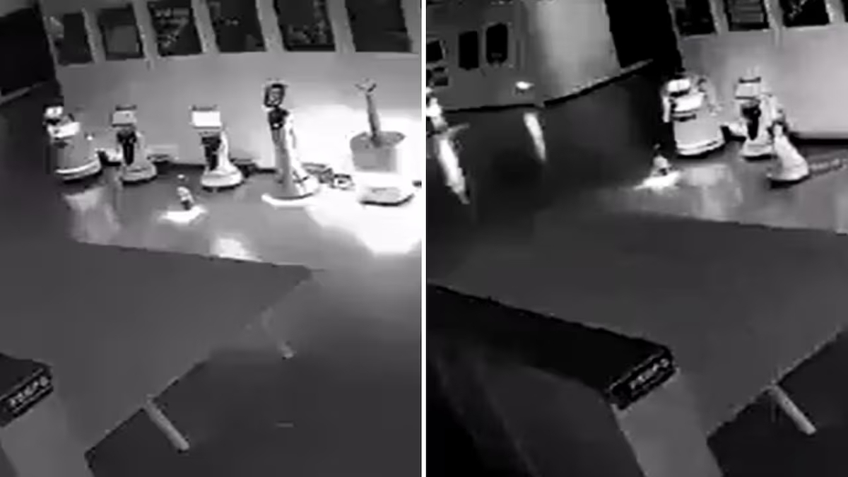 Un robot convence a otros 12 para escaparse de una sala