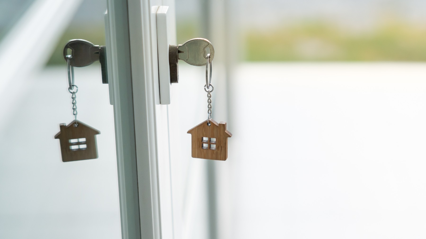 Si eres investigador puedes vivir sin pagar alquiler con esta beca: todos los requisitos y detalles