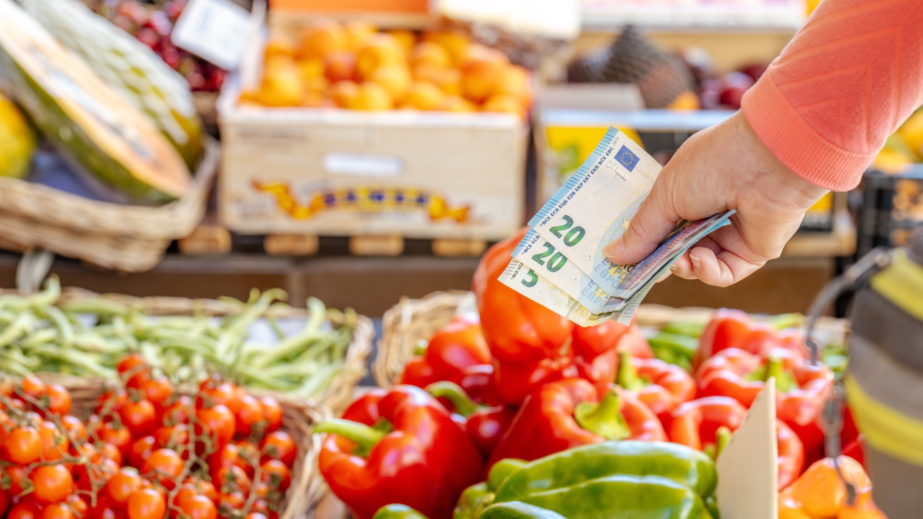 Cuidado con la cesta de la compra