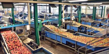 Estas son las empresas mas importantes de cada provincia