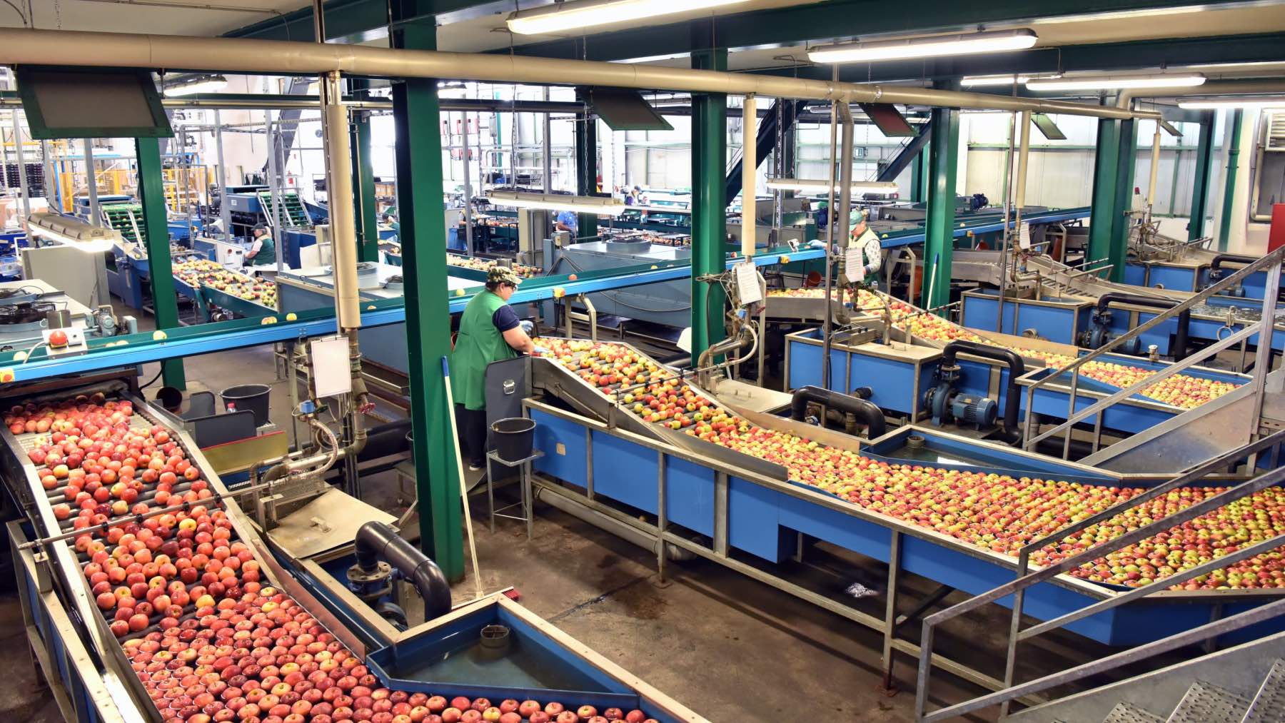 Estas son las empresas mas importantes de cada provincia