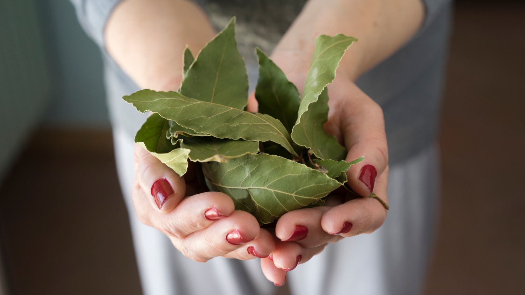 Debes poner una hoja de laurel debajo de tu almohada