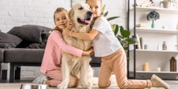 Todo lo que necesitas saber para adoptar una mascota: requisitos y consejos clave.