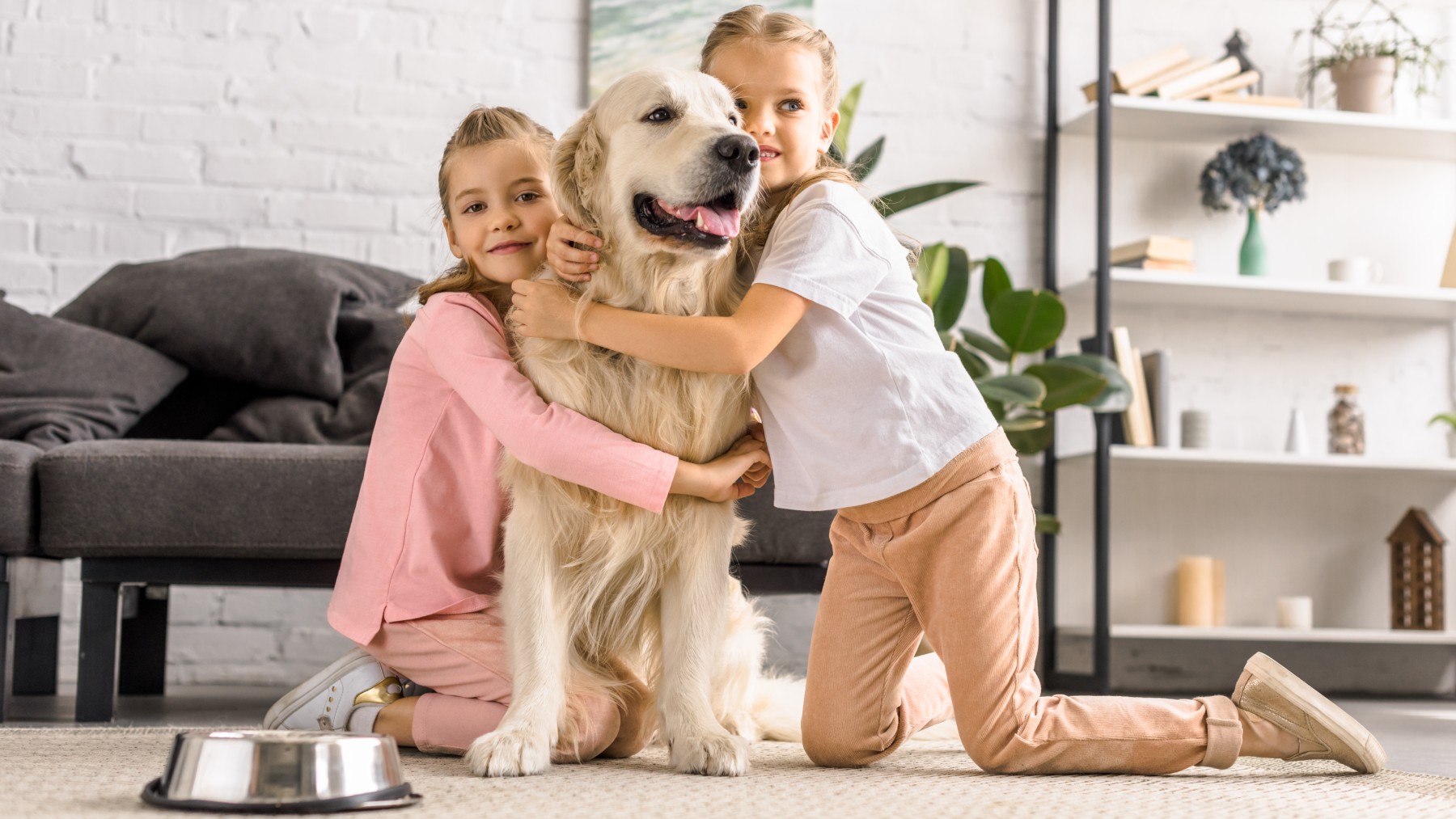 Todo lo que necesitas saber para adoptar una mascota: requisitos y consejos clave.