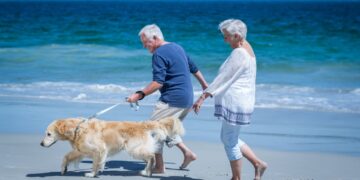 Aquí están los detalles: nuevas condiciones del IMSERSO