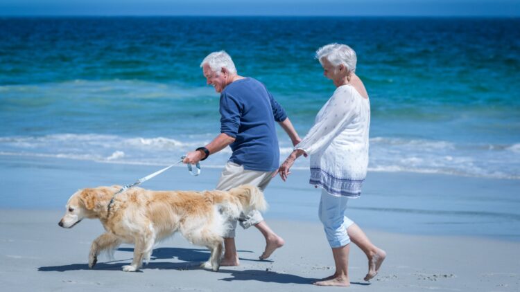 Confirmado por el IMSERSO: estos son los nuevos requisitos para viajar con tu mascota a partir de esta fecha 1 Aquí están los detalles: nuevas condiciones del IMSERSO