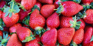 Descubre cómo limpiar tus fresas de manera efectiva
