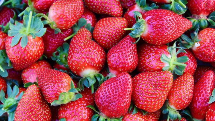 Descubre cómo limpiar tus fresas de manera efectiva y segura en casa para acabar con los pesticidas 1 Descubre cómo limpiar tus fresas de manera efectiva