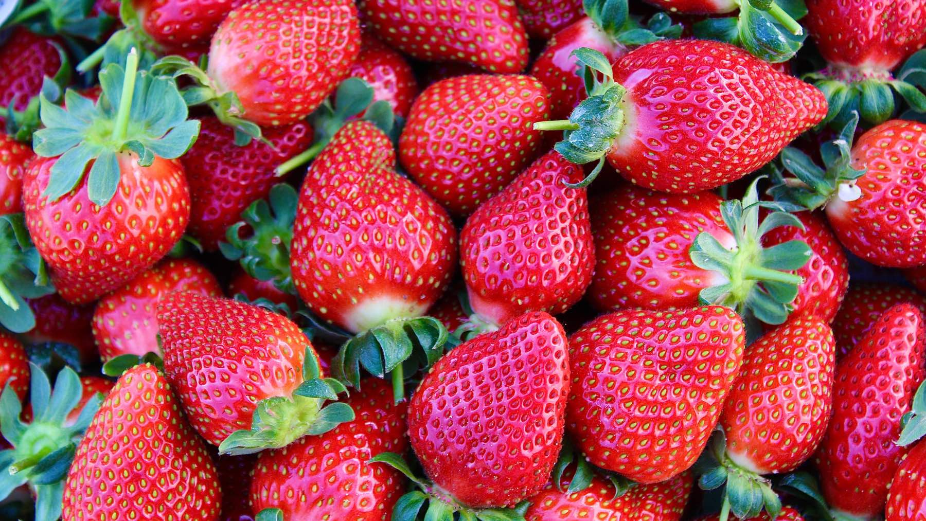 Descubre cómo limpiar tus fresas de manera efectiva
