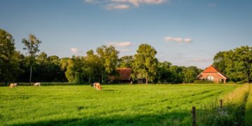 Prevenir enfermedades en los animales de granja