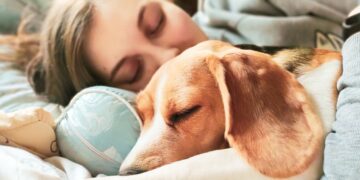 Qué dicen los psicólogos sobre las personas que duermen con su mascota
