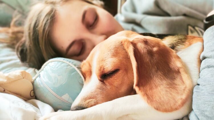 Qué dicen los psicólogos sobre las personas que duermen con su mascota: tienen estos 7 rasgos 1 Qué dicen los psicólogos sobre las personas que duermen con su mascota