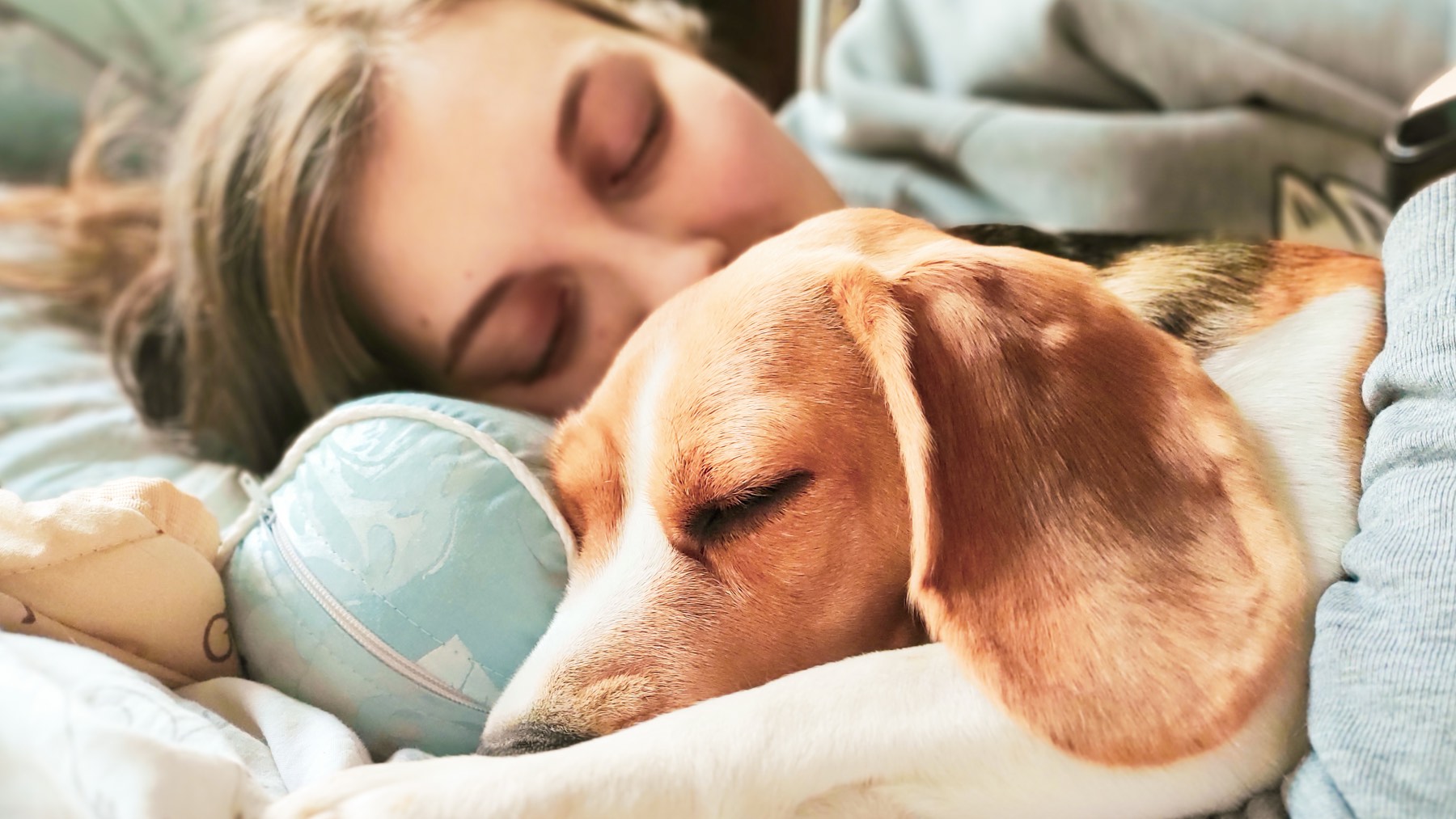 Qué dicen los psicólogos sobre las personas que duermen con su mascota