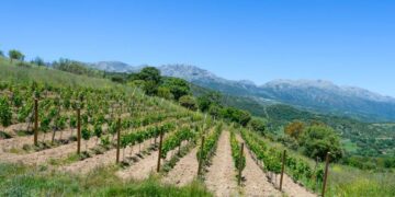 Alivios fiscales históricos para impulsar el medio rural