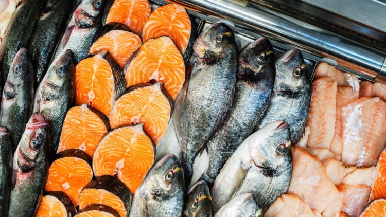 Ni salmón ni atún: este pescado es el secreto mejor guardado de la dieta española 1 Este pescado es el secreto mejor guardado de la dieta española