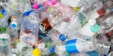 Recicla casi medio millón de botellas y latas durante 7 años