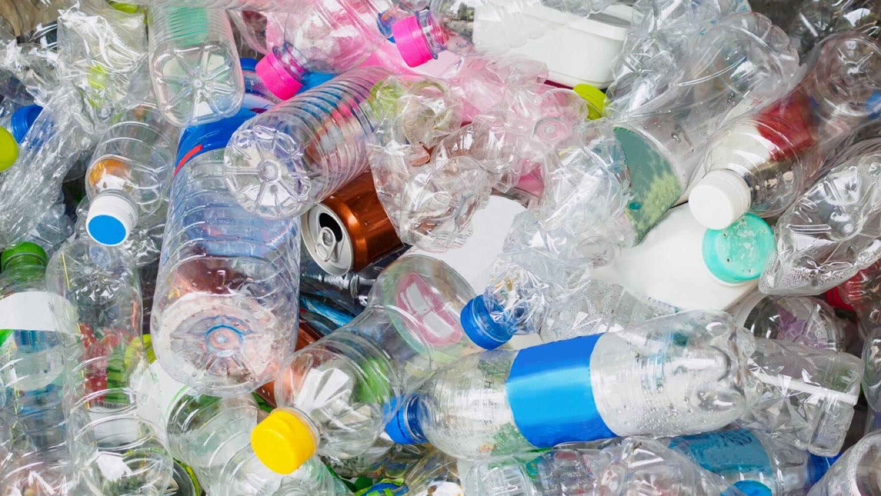 Recicla casi medio millón de botellas y latas durante 7 años