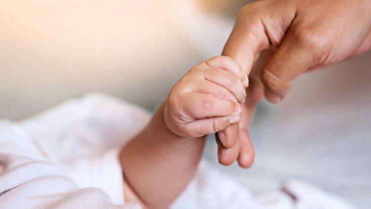 Es oficial: el Ayuntamiento de Alicante lanza un cheque bebé de 300 euros a las familias que cumplan estos requisitos 1 El Ayuntamiento de Alicante lanza un cheque bebé de 300 euros