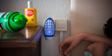 Adiós a los mosquitos en casa