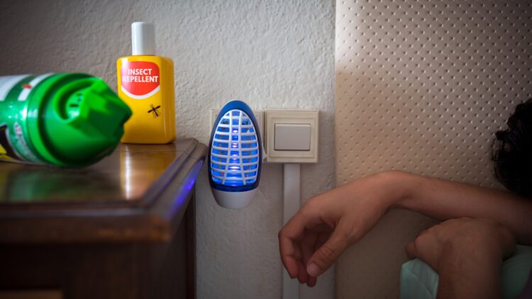 Adiós a los mosquitos en casa: este truco casero lo utilizaba tu abuela y te librará de picaduras este verano 1 Adiós a los mosquitos en casa